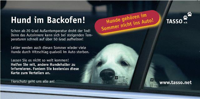 Tasso Flyer "Hund im Backofen"